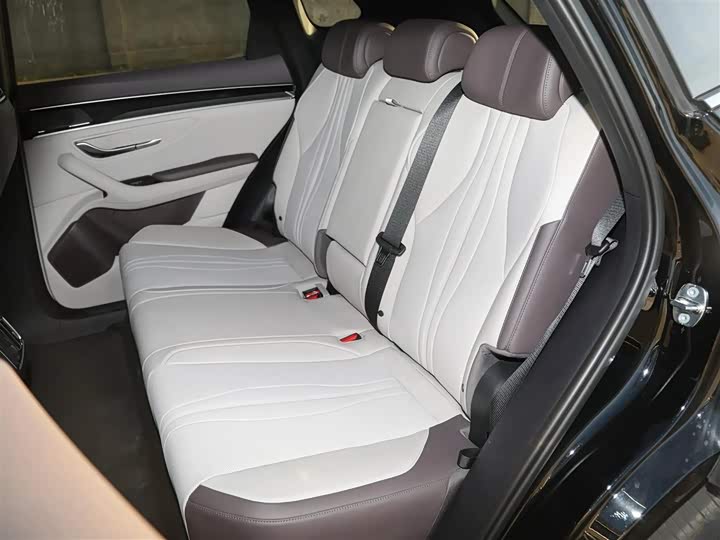 Фото 6 - BYD Song Plus Hybrid/EV