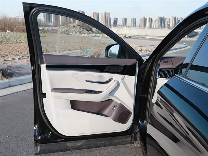 Фото 7 - BYD Song Plus Hybrid/EV