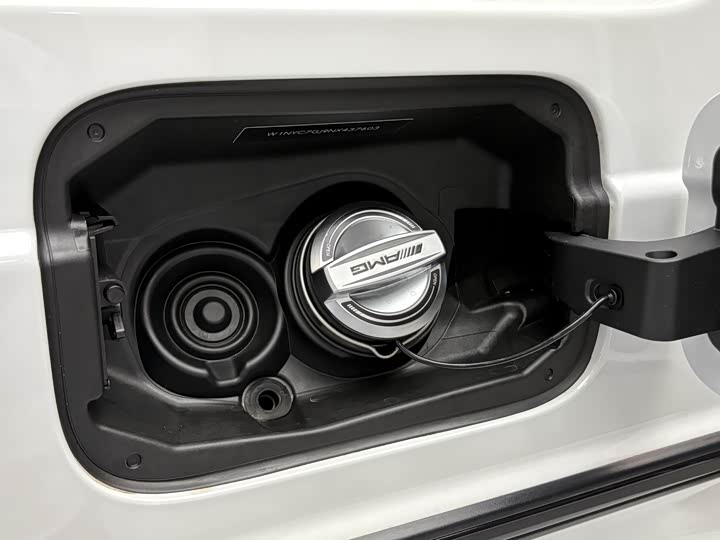 Фото 31 - Mercedes-Benz G-Class AMG