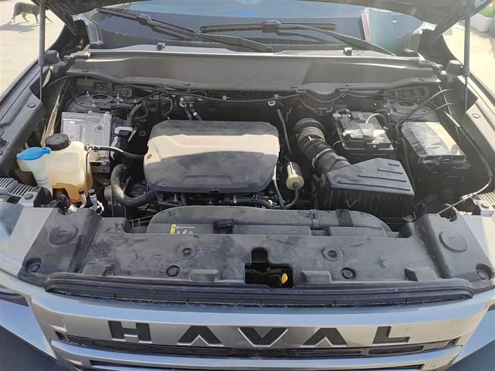 Фото 11 - Haval Dargo