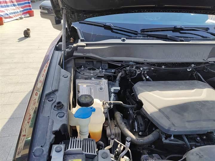 Фото 21 - Haval Dargo