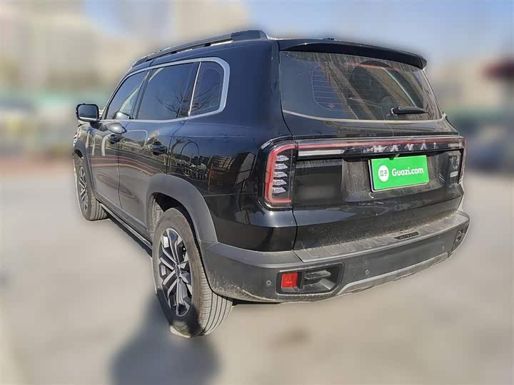 Фото 27 - Haval Dargo