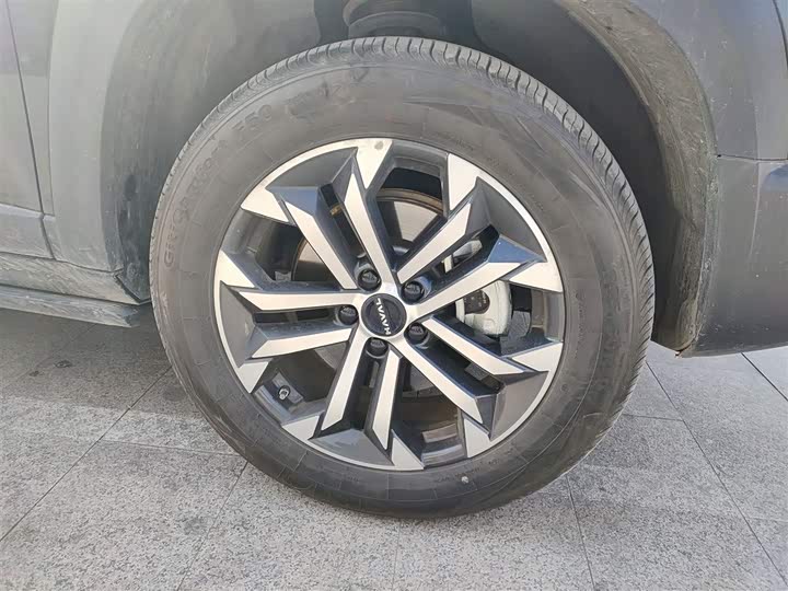 Фото 31 - Haval Dargo