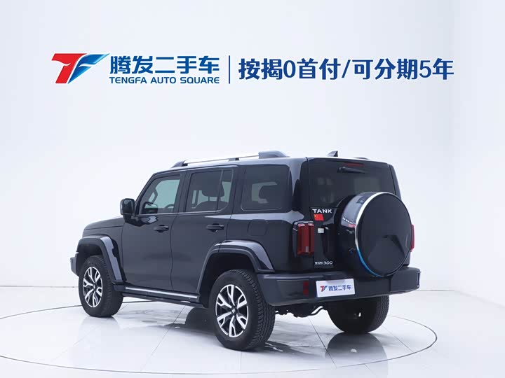 Фото 3 - Tank 300