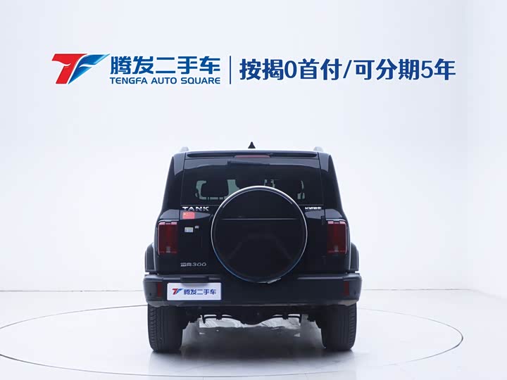 Фото 4 - Tank 300