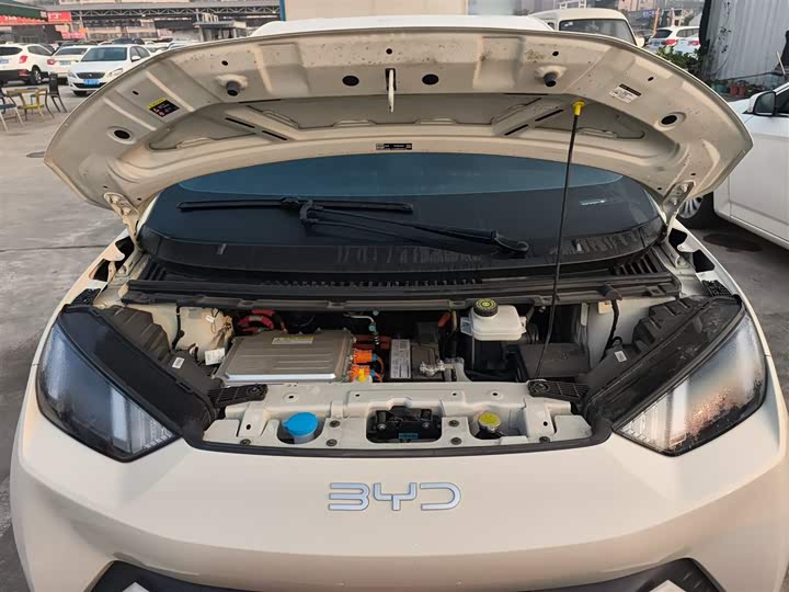 Фото 20 - BYD Seagull