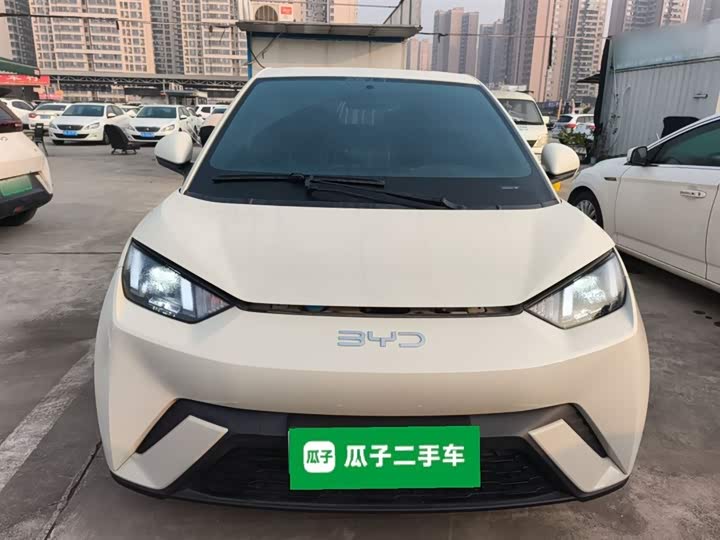 Фото 3 - BYD Seagull