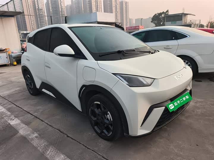 Фото 4 - BYD Seagull