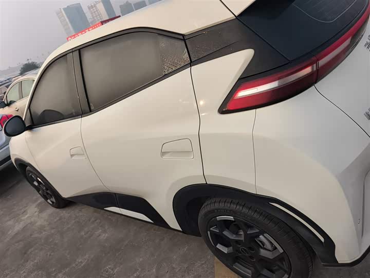 Фото 5 - BYD Seagull