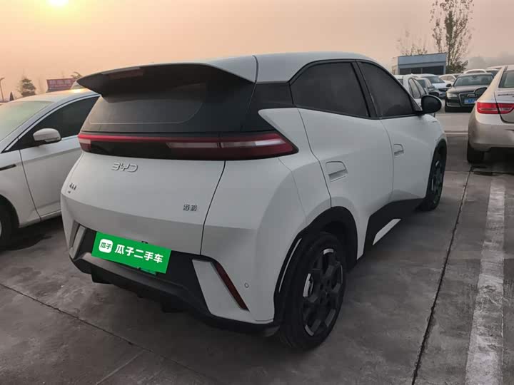 Фото 7 - BYD Seagull