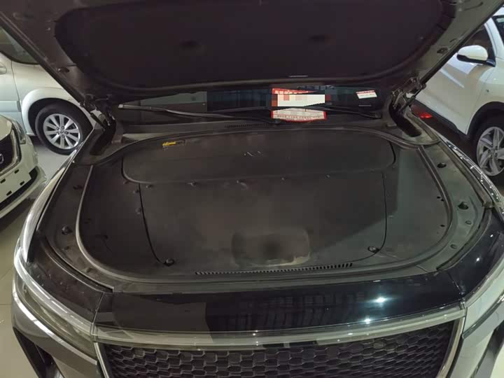 Фото 20 - LiXiang One