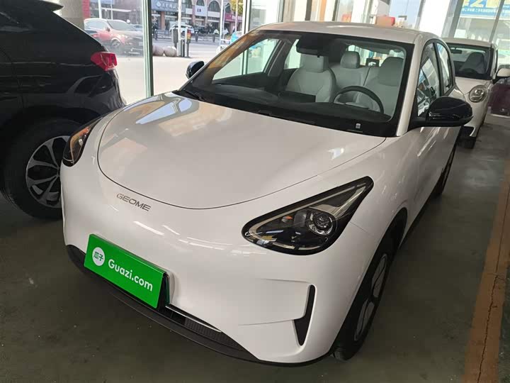 Фото 2 - Geely Galaxy Geome