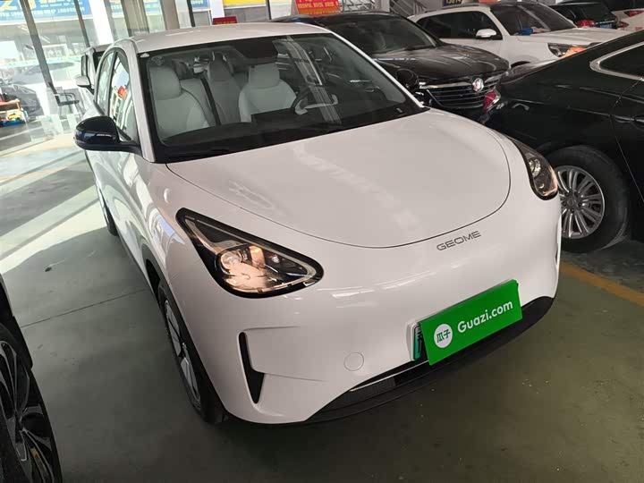 Фото 4 - Geely Galaxy Geome