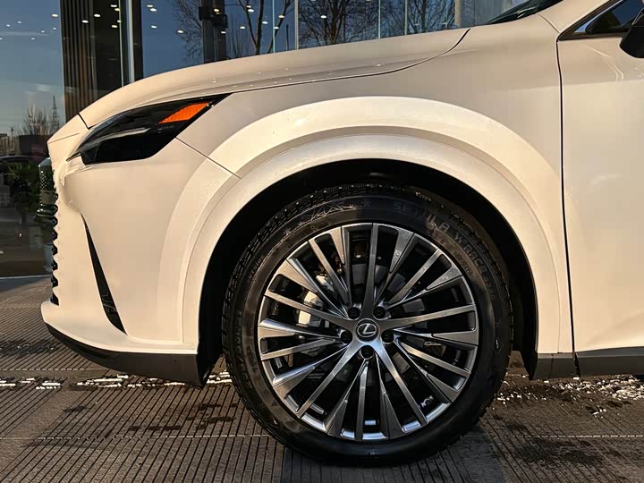 Фото 10 - Lexus RX