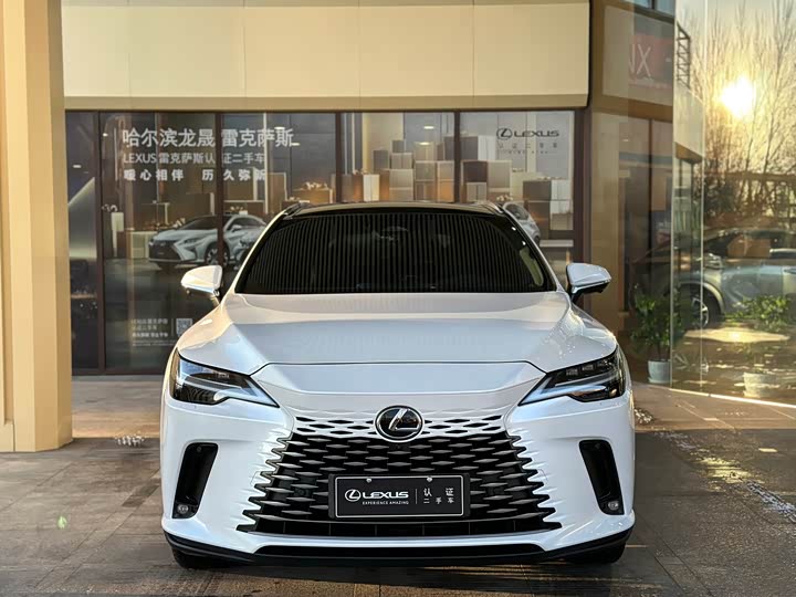 Фото 2 - Lexus RX