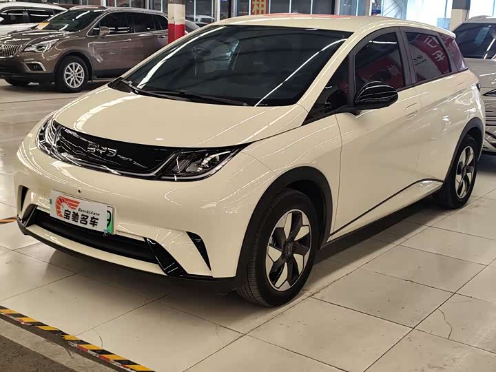 Фото 1 - BYD Dolphin