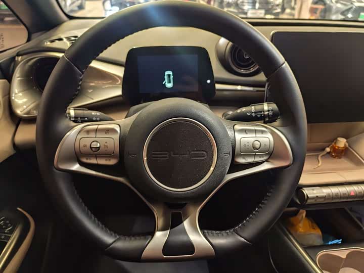 Фото 10 - BYD Dolphin