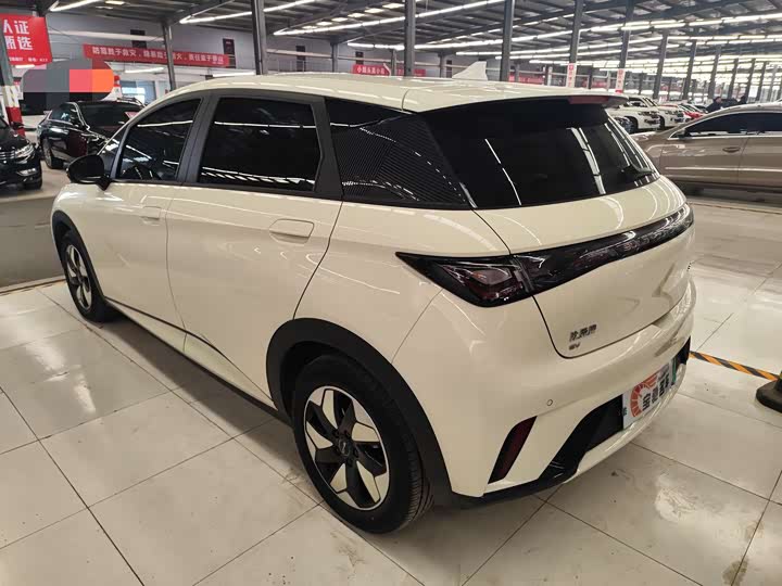 Фото 12 - BYD Dolphin