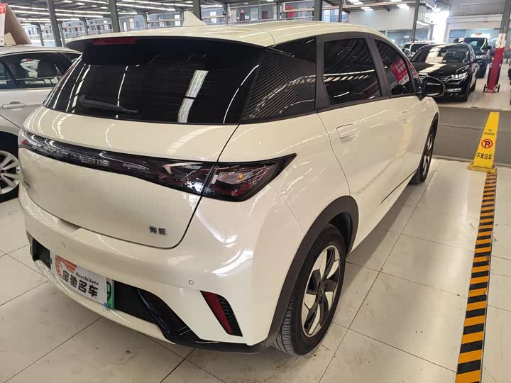 Фото 14 - BYD Dolphin