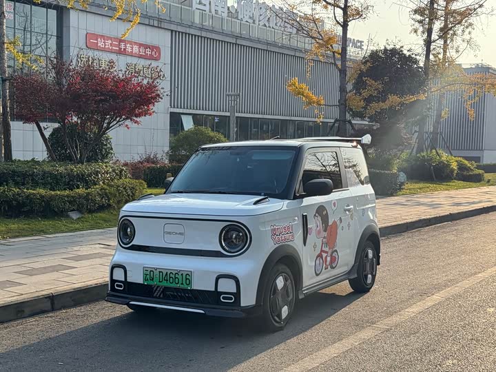 Фото 1 - Geely Galaxy Panda Mini