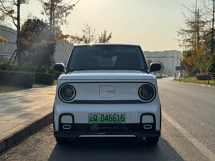 Фото 2 - Geely Galaxy Panda Mini