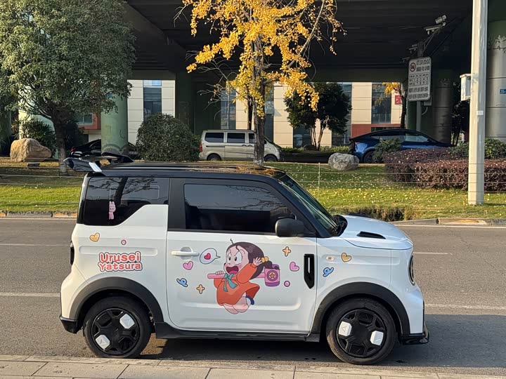 Фото 4 - Geely Galaxy Panda Mini