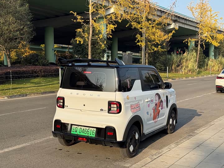 Фото 5 - Geely Galaxy Panda Mini