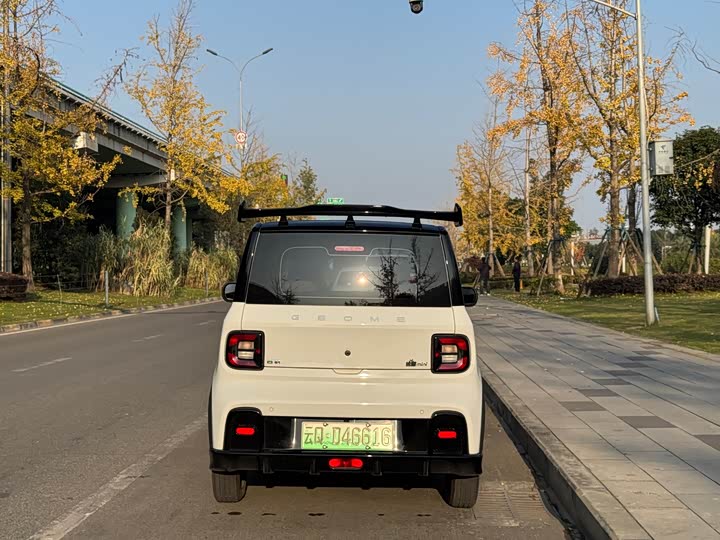 Фото 6 - Geely Galaxy Panda Mini