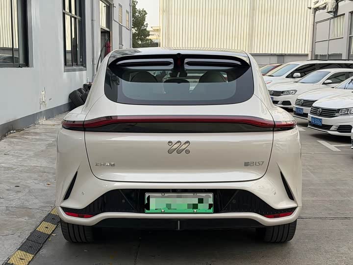 Фото 14 - IM motors LS7