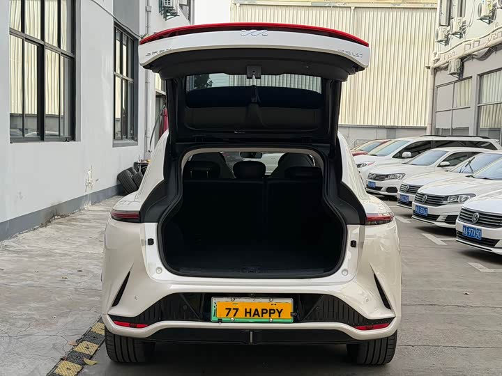 Фото 18 - IM motors LS7