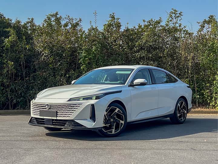 Фото 1 - Changan Yida