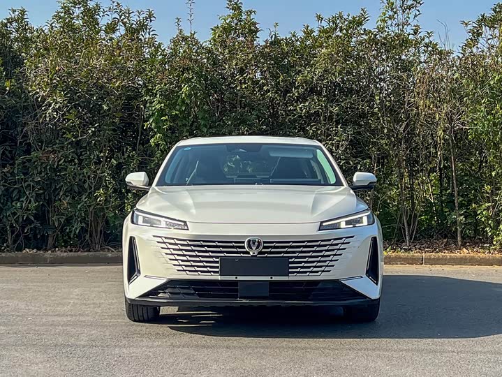 Фото 2 - Changan Yida