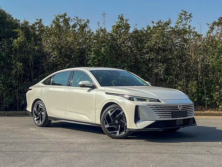 Фото 3 - Changan Yida