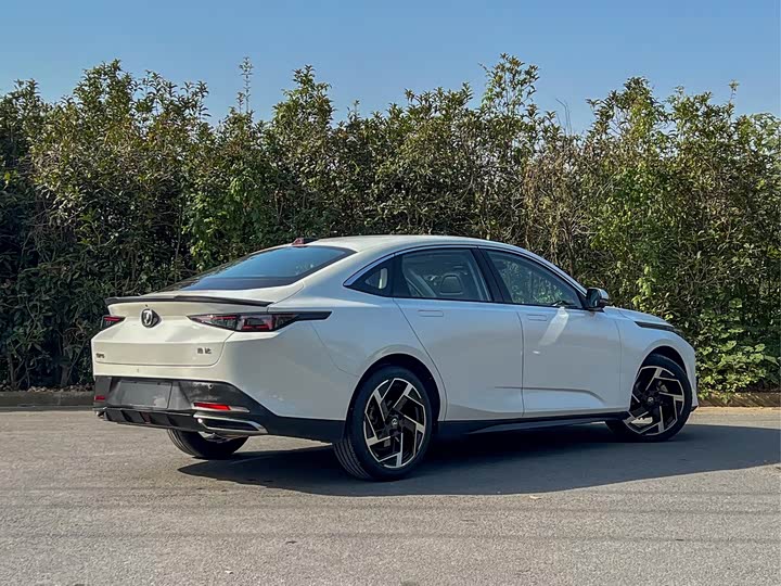 Фото 4 - Changan Yida