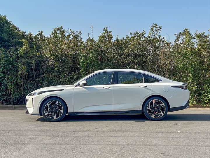 Фото 6 - Changan Yida