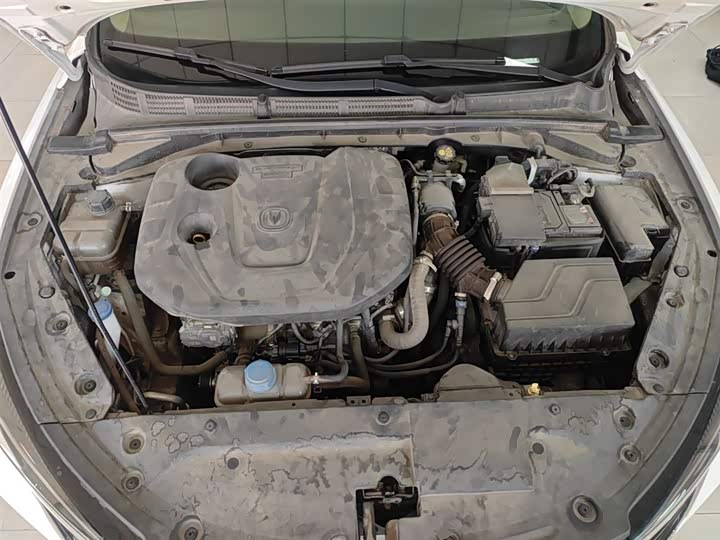 Фото 20 - Changan Eado Plus