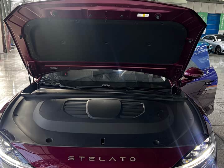 Фото 30 - Stelato S9