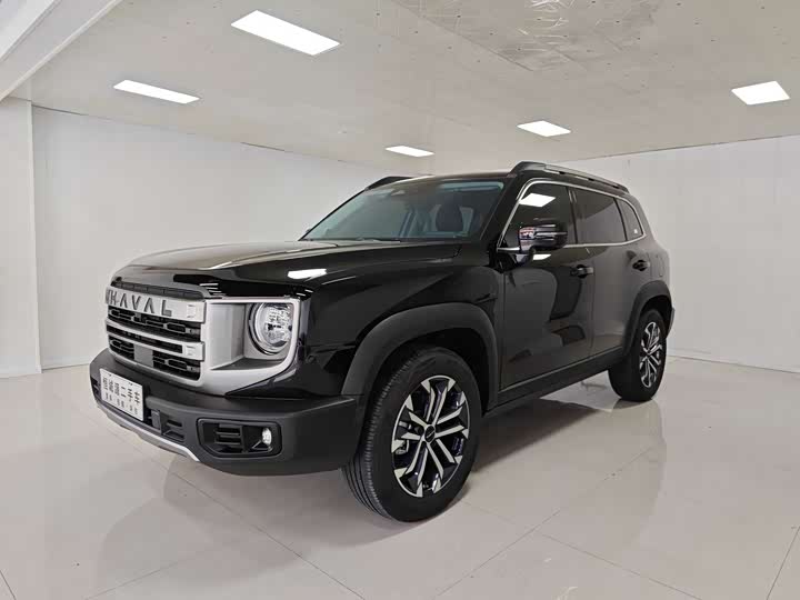 Фото 1 - Haval Dargo