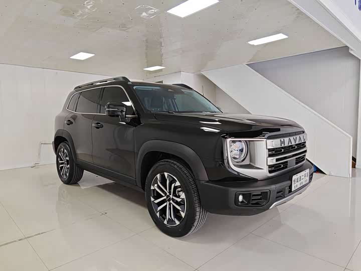 Фото 2 - Haval Dargo