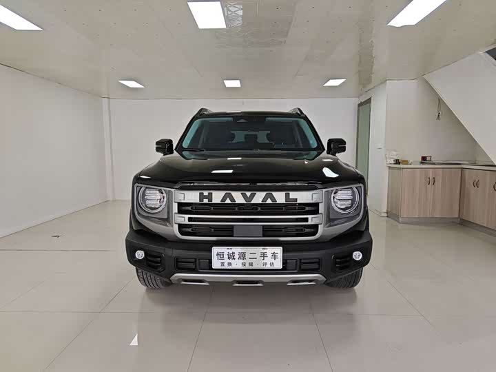 Фото 3 - Haval Dargo