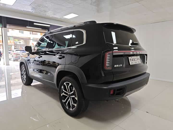 Фото 9 - Haval Dargo
