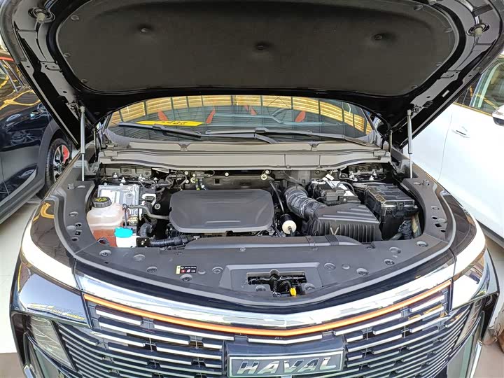 Фото 20 - Haval F7 (Monster)