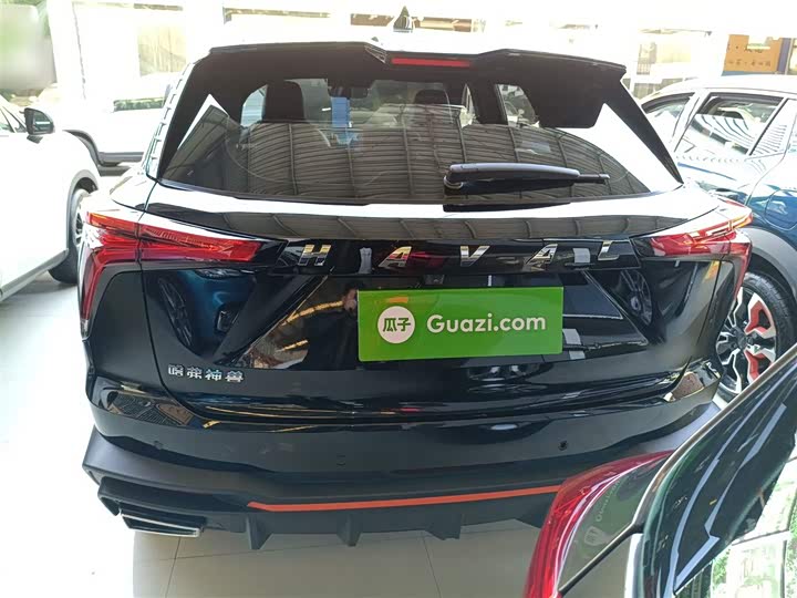 Фото 6 - Haval F7 (Monster)