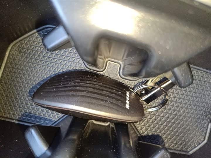 Фото 9 - Haval F7 (Monster)