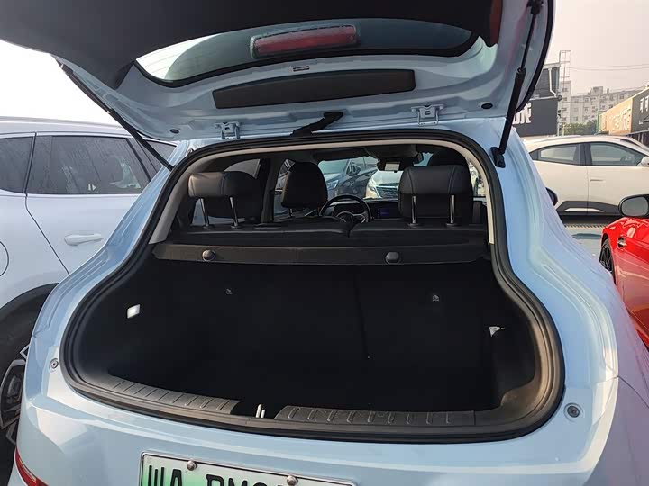 Фото 19 - Ora Good Cat (03)