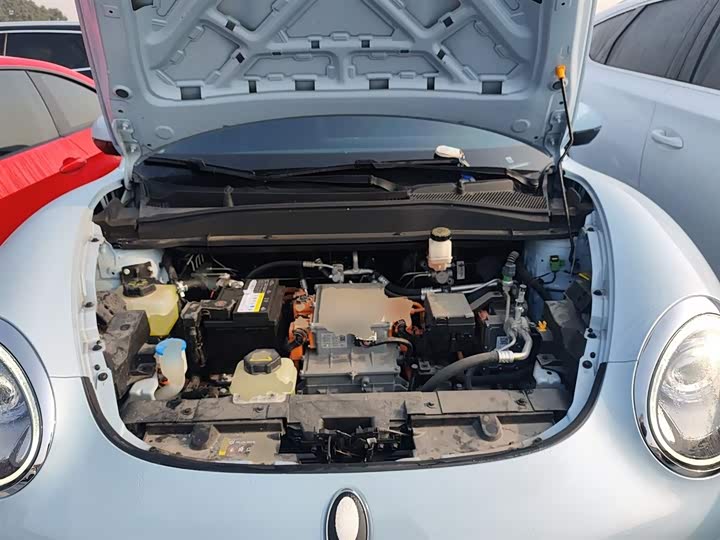 Фото 20 - Ora Good Cat (03)