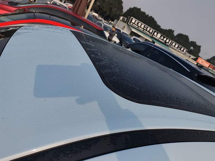 Фото 27 - Ora Good Cat (03)