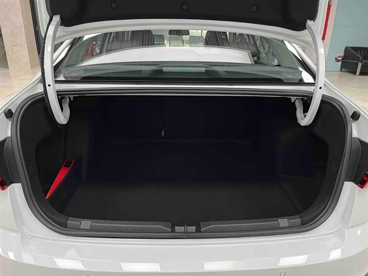 Фото 16 - Volkswagen Bora