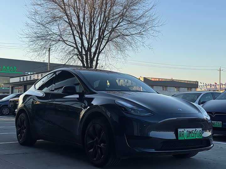 Фото 3 - Tesla Model Y