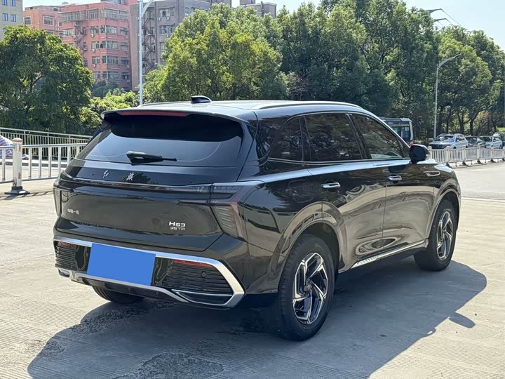 Фото 4 - Hongqi HS3